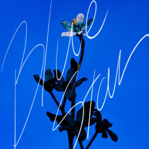 [Single] さくらしめじ – ブルースター / Sakura Shimeji – Bluestar (2022.11.05/MP3/RAR)