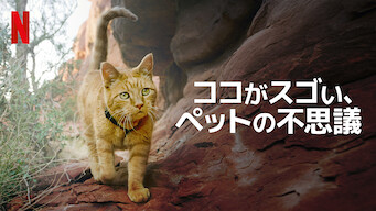 [ドラマ] ココがスゴい、ペットの不思議 第1シーズン 全4話 (2022) (WEBRIP)