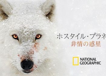 [ドラマ] ホスタイル・プラネット 非情の惑星 第1シーズン 全6話 (2022) (WEBRIP)