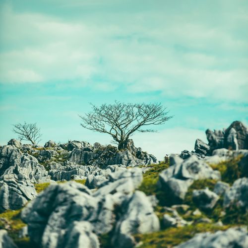 [Single] Def Tech – Save Me Tonight (2022.11.25/MP3/RAR)