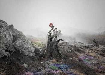 [Single] JUJU – Hana / 花 (2022.11.23/MP3/RAR)