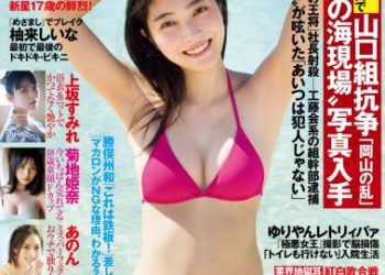 [雑誌] 週刊FLASH（フラッシュ） 2022年11月15日号（1666号）