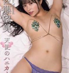 [LCDV-41027] Nozomi Sato 佐藤望美 – 天使のハニカミ [MP4/6.07GB]