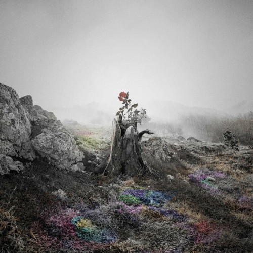 [Single] JUJU – 花 [FLAC / WEB] [2022.11.23]