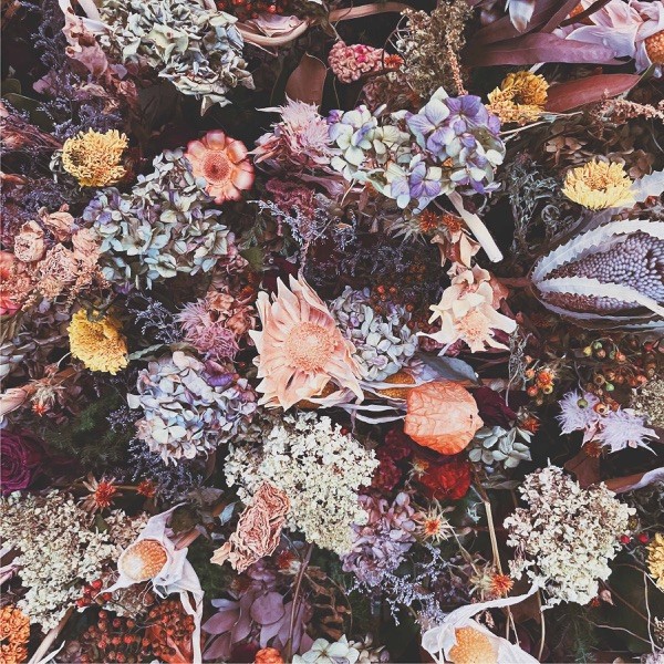 [Single] macico – grape [FLAC / WEB] [2022.11.30]