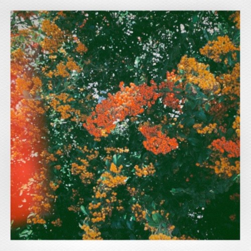[Single] Somewhere – Sunrise [FLAC / WEB] [2022.10.19]