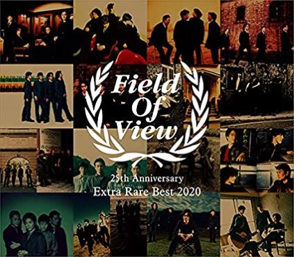 [MUSIC VIDEO] FIELD OF VIEW 25th Anniversary Extra Rare Best 2020 付属DVD (2020.05.13/MP4/RAR) (DVDISO)