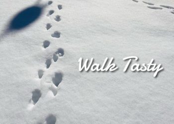 [Single] Hiroshi Shibasaki / 柴崎浩 – Walk Tasty (2023.01.14/MP3/RAR)