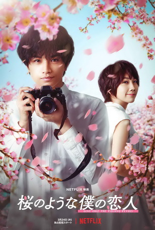 [MOVIES] 桜のような僕の恋人 (2022) (WEBRIP 4K)