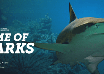 [ドラマ] Game of Sharks (2022) (WEBRIP)