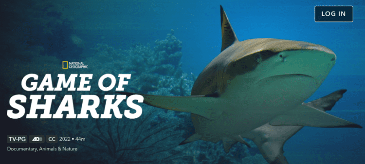 [ドラマ] Game of Sharks (2022) (WEBRIP)