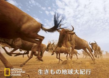 [ドラマ] 生きもの地球大紀行 第1シーズン 全4話 (2022) (WEBRIP)