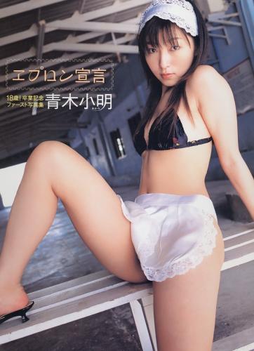 [Photobook] Koaki Aoki 青木小明 – Apron Declaration エプロン宣言(20030314)