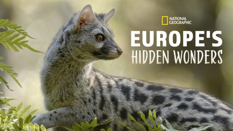 [ドラマ] HIDDEN WONDERS OF EUROPE 第1シーズン 全4話 (2023) (WEBRIP)