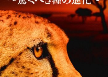 [ドラマ] アフリカ～驚くべき種の進化～ 第7シーズン 全3話 (2023) (WEBRIP)
