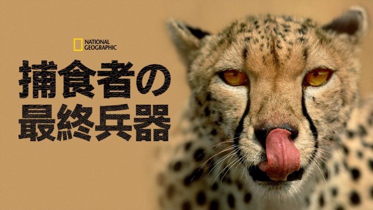 [ドラマ] 捕食者の最終兵器 第1シーズン 全6話 (2023) (WEBRIP)