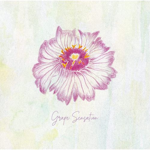 [Album] グレープ – グレープセンセーション / grape – Grape Sensation (2023.02.15/MP3/RAR)