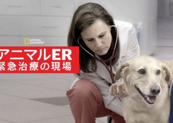 [ドラマ] アニマルER 緊急治療の現場 第1シーズン 全6話 (2023) (WEBRIP)