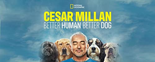 [ドラマ] シーザー・ミラン: ベター・ヒューマン・ベター・ドッグ 第3シーズン 全12話 (2023) (WEBRIP)