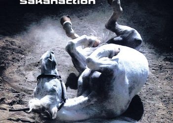 [TV-SHOW] サカナクション – 多分、風。 付属BD (2016.10.19) (BDMV)