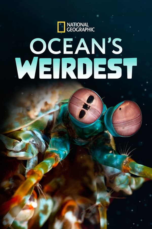 [ドラマ] Ocean’s Weirdest 第1シーズン 全3話 (2023) (WEBRIP)