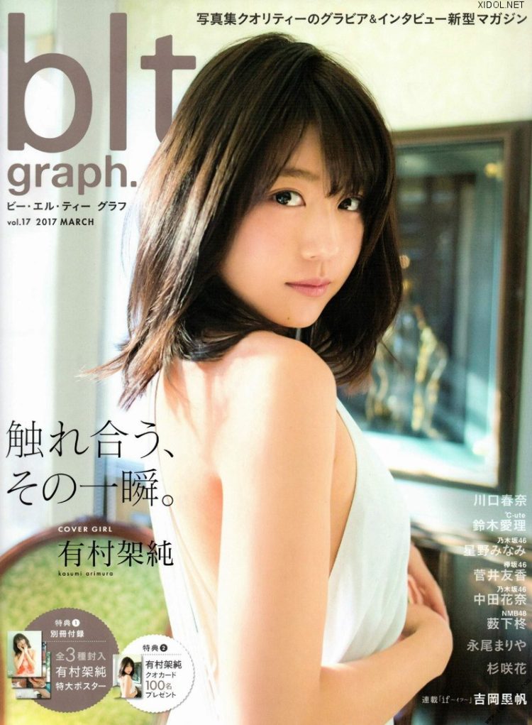 [雑誌] blt graph Collection
