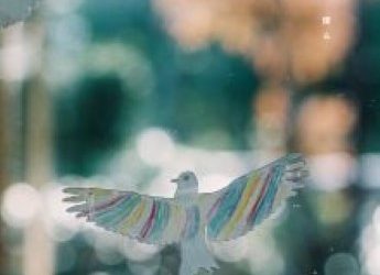 [Album] ハク。 – 僕ら (2023.03.08/Flac/RAR)