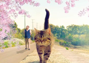 [MOVIES] ねことじいちゃん (2019) (BDRIP)