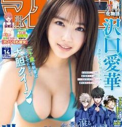 [雑誌] 週刊少年マガジン 2023年14号