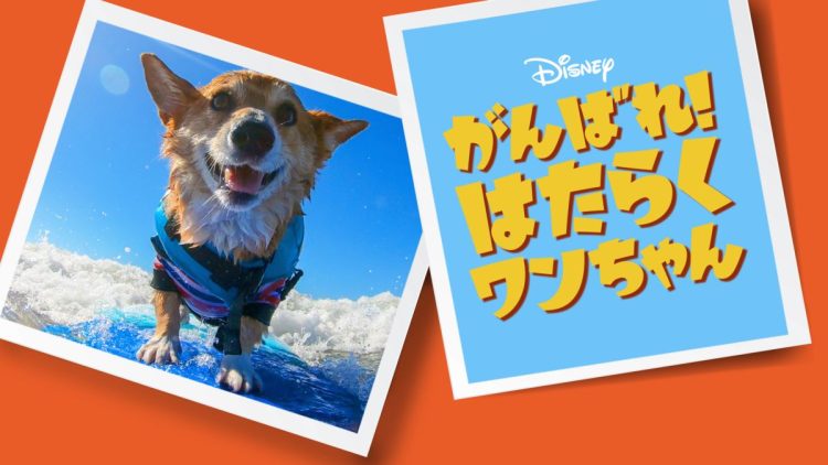 [ドラマ] がんばれ！ はたらくワンちゃん 第1シーズン 全10話 (2023) (WEBRIP)