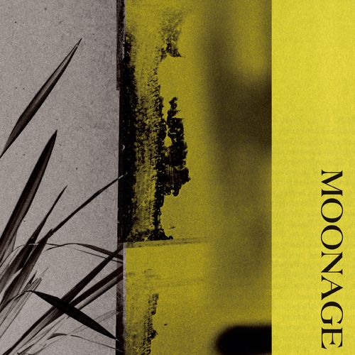 [Album] 中田裕二 – MOONAGE (2023.04.26/MP3/RAR)