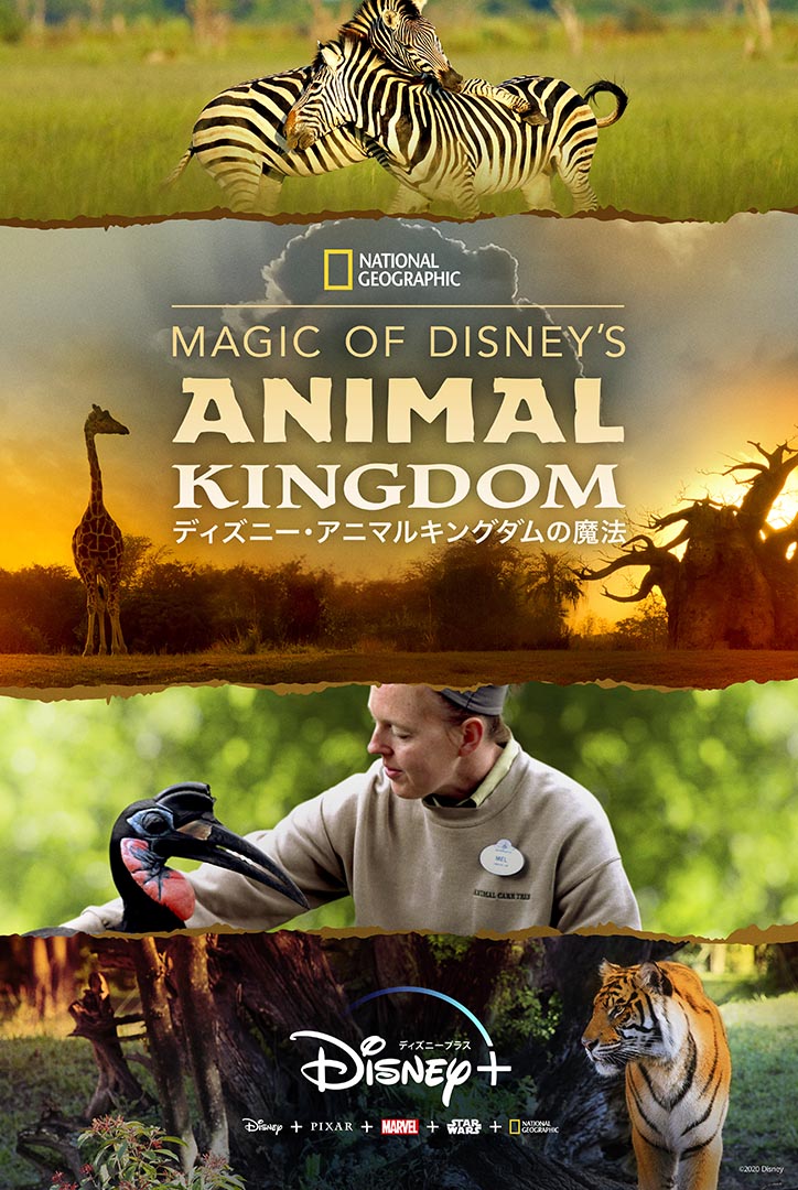 [ドラマ] Magic of Disney’s Animal Kingdom ディズニー･アニマルキングダムの魔法 第1シーズン 全8話 (2023) (WEBRIP)