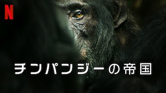 [ドラマ] チンパンジーの帝国 第1シーズン 全4話 (2023) (WEBRIP)
