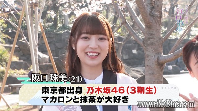【バラエティ番組】230415 ぐるり東京 江戸散歩 (Gururi Tokyo Edo Sanpo) ep51
