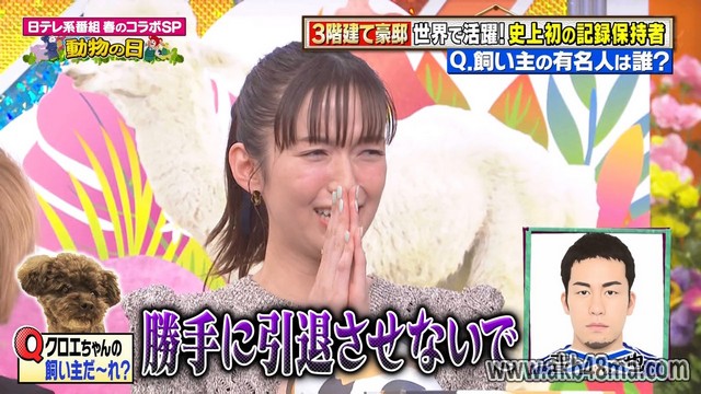 【バラエティ番組】230401 NTV-kei Ninki Bangumi Haru no Collabo SP Doubutsu no Hi (日テレ系人気番組 春のコラボ SP 動物の日)