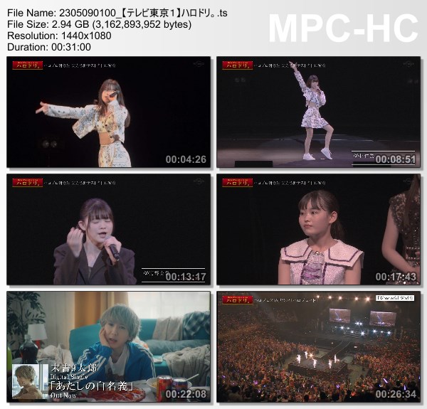 [TV-Variety] ハロドリ。- 2023.05.08