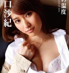 [GUILD-013] Saki Yamaguchi 山口沙紀 – Temperature Of Love 愛の温度 [MP4/3.87GB]